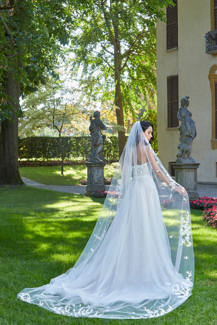 Demetrios 8157