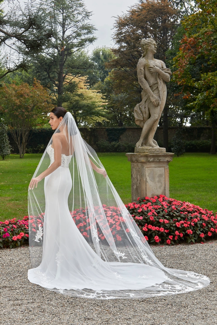 Demetrios 8164