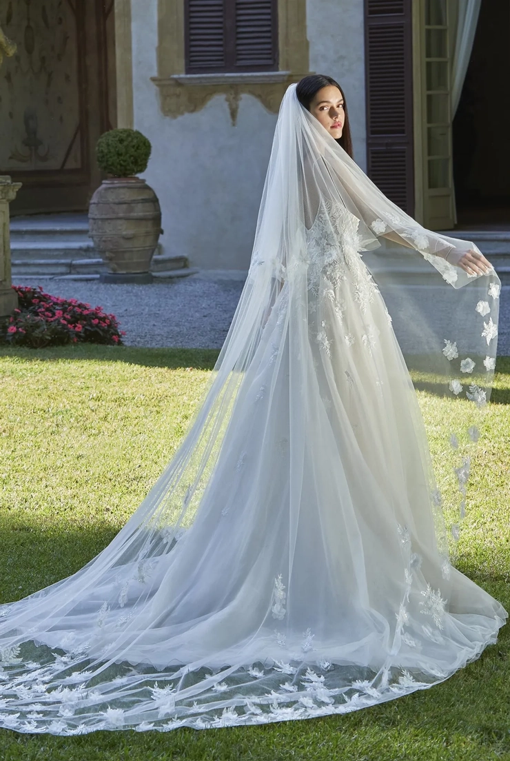 Demetrios 8191