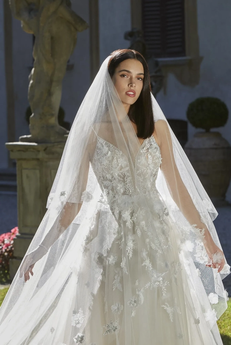 Demetrios 8191