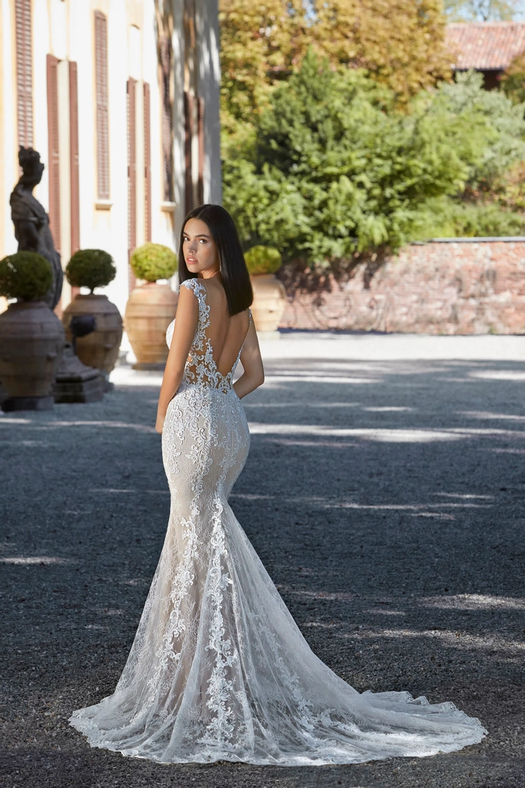 Demetrios 8194