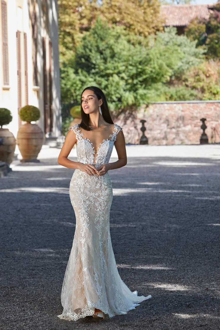 Demetrios 8194
