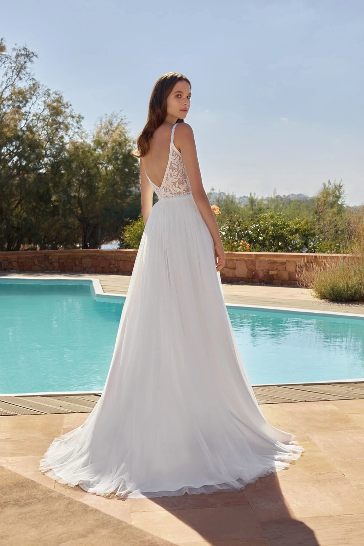 Demetrios L1096