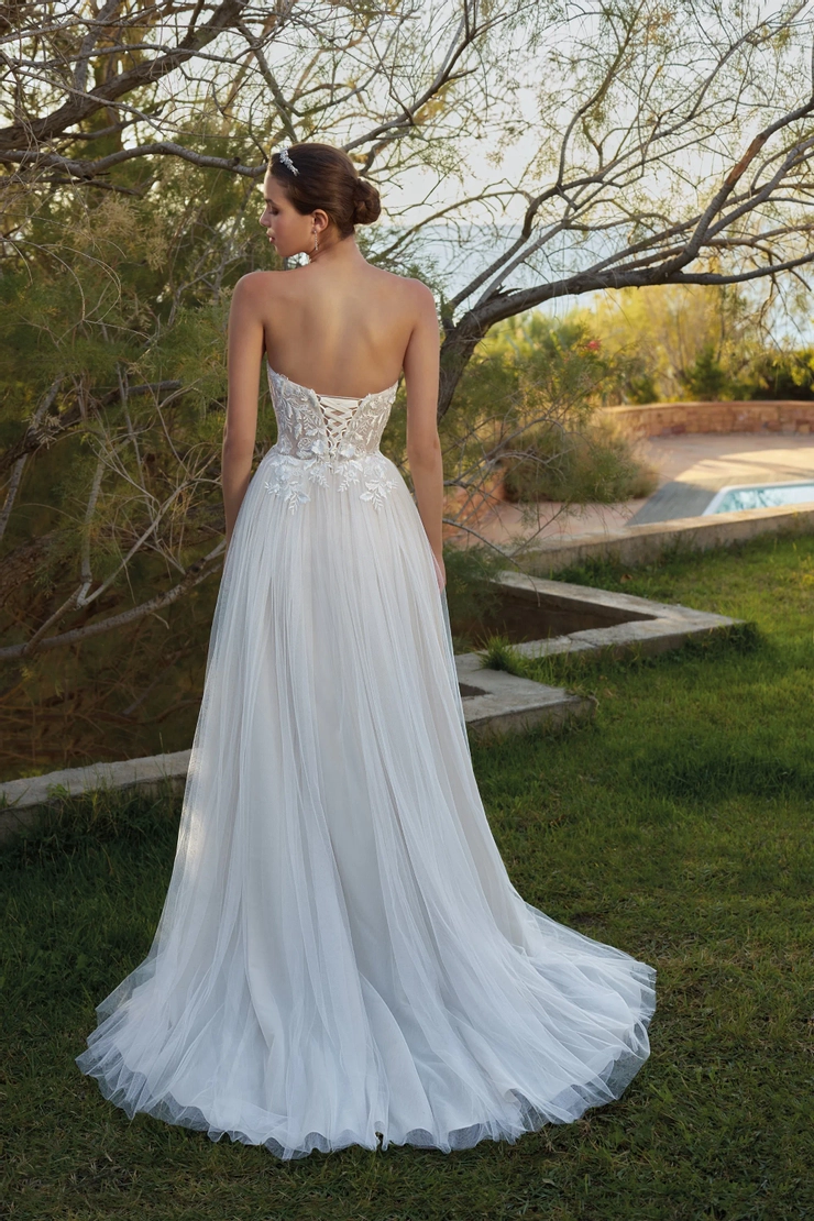 Demetrios L1104