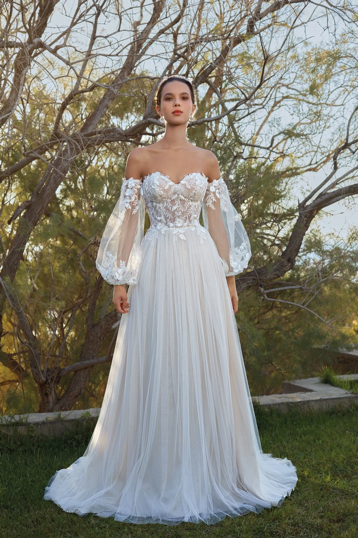 Demetrios L1104