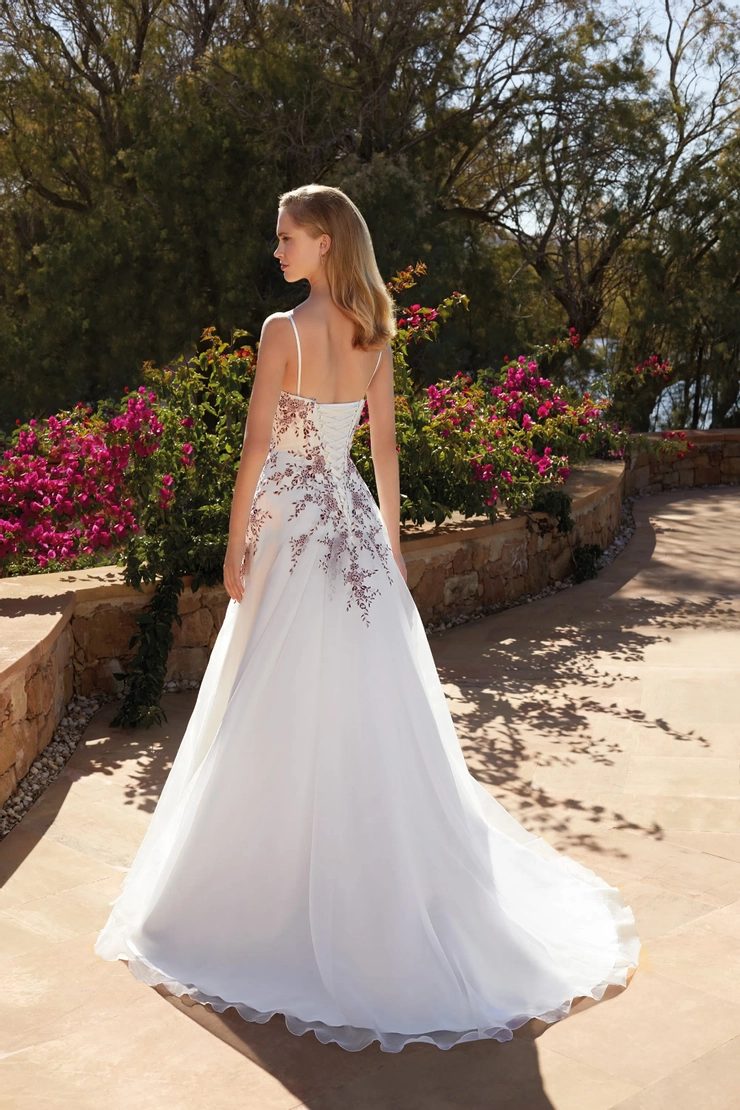 Demetrios L1109