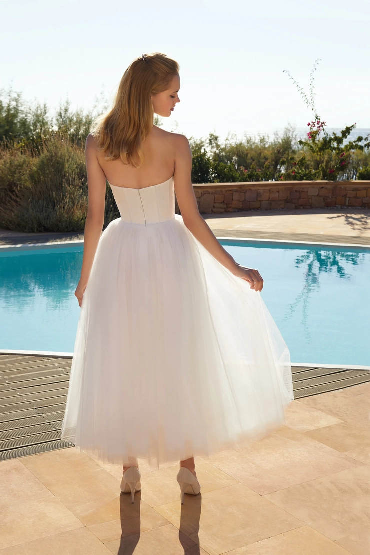 Demetrios L1115