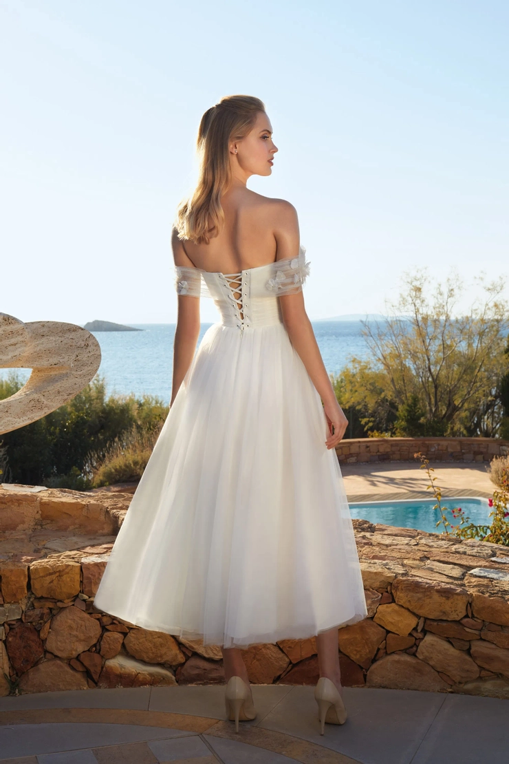 Demetrios L1116