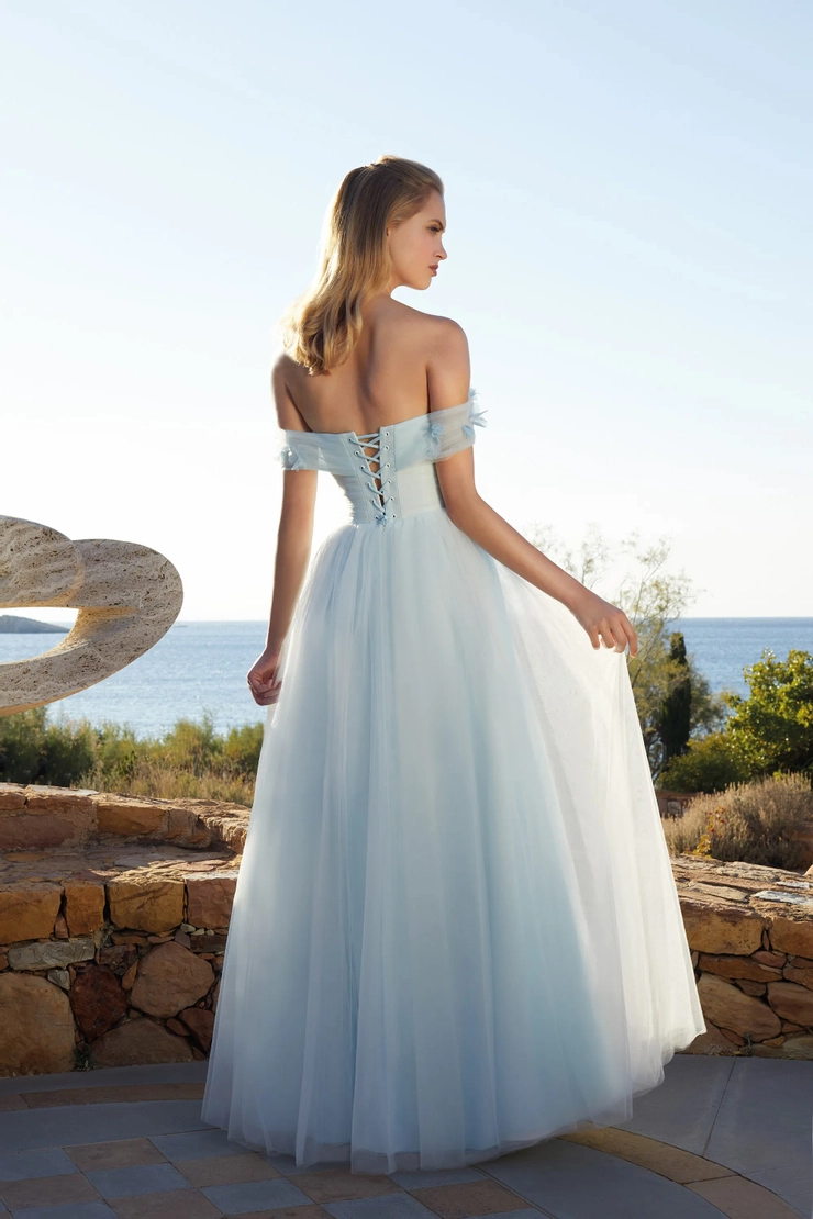 Demetrios L1116