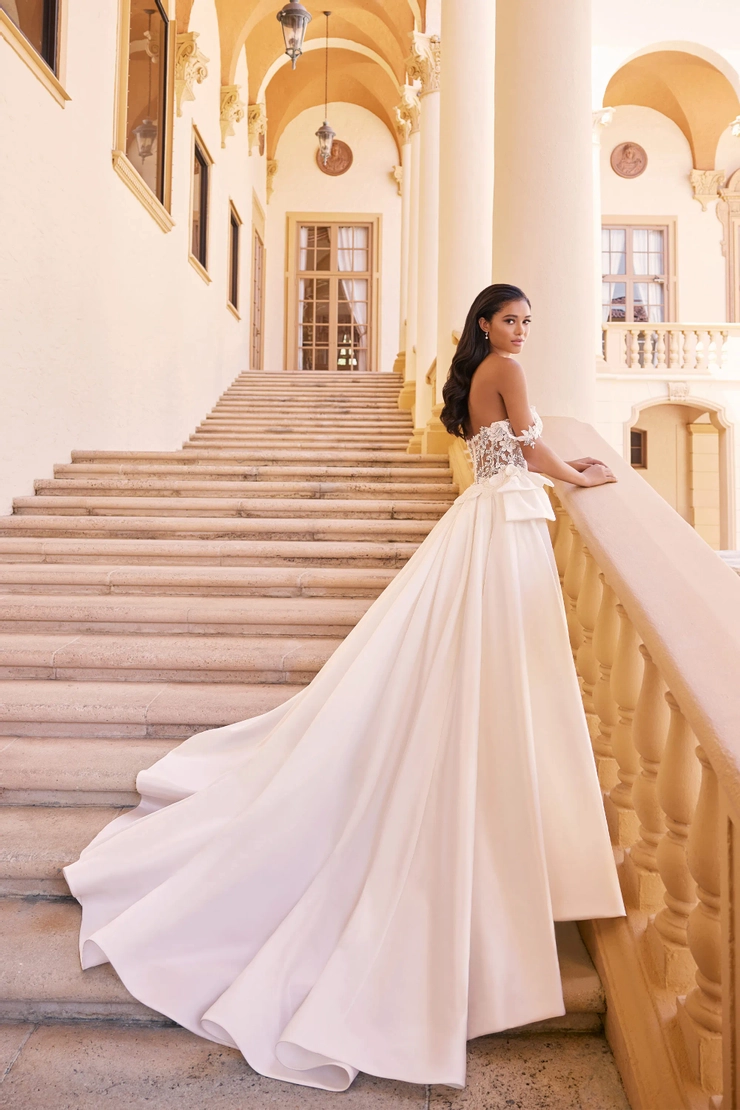 Martin Thornburg Backface Thumbnail Image