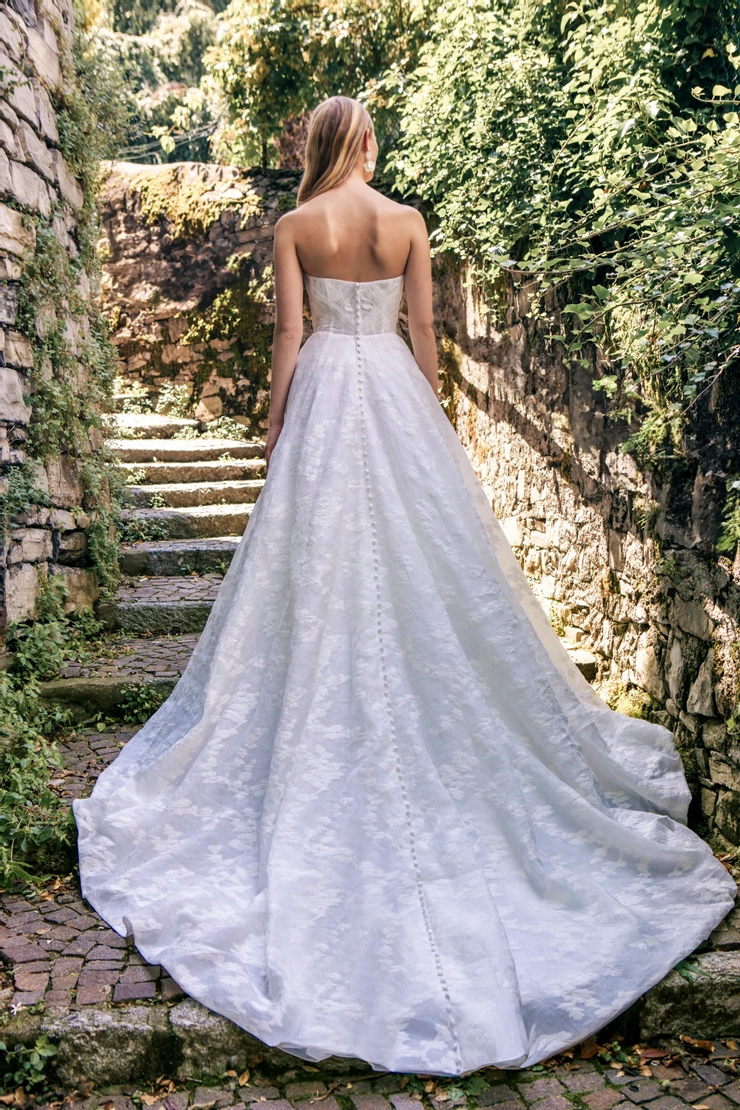 Madison James Backface Thumbnail Image