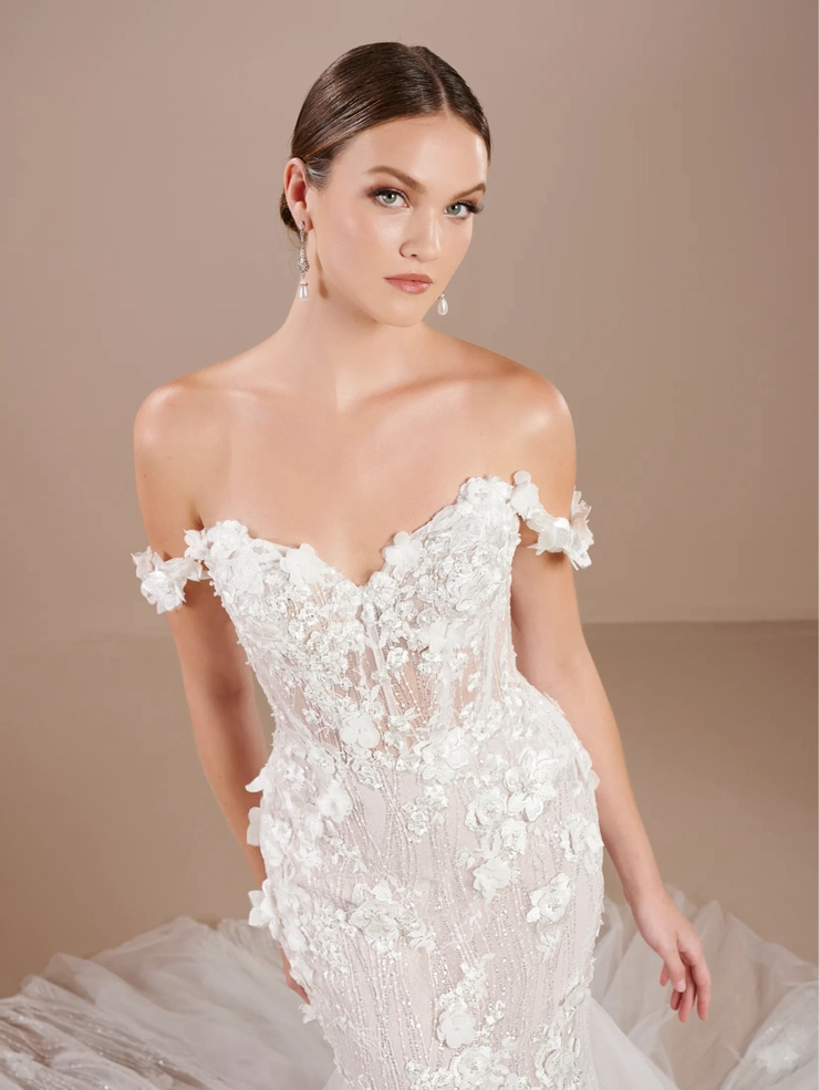 Christina Wu Brides Style #15865 #2 frontface vertical cropped picture
