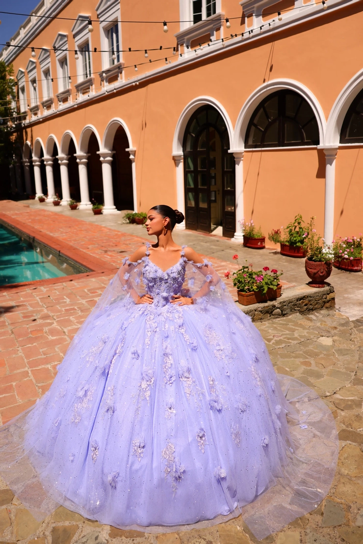 sachin and babi light blue dress Disney Princess Inspired Homecoming Dresses 2026 | ALYCE Paris