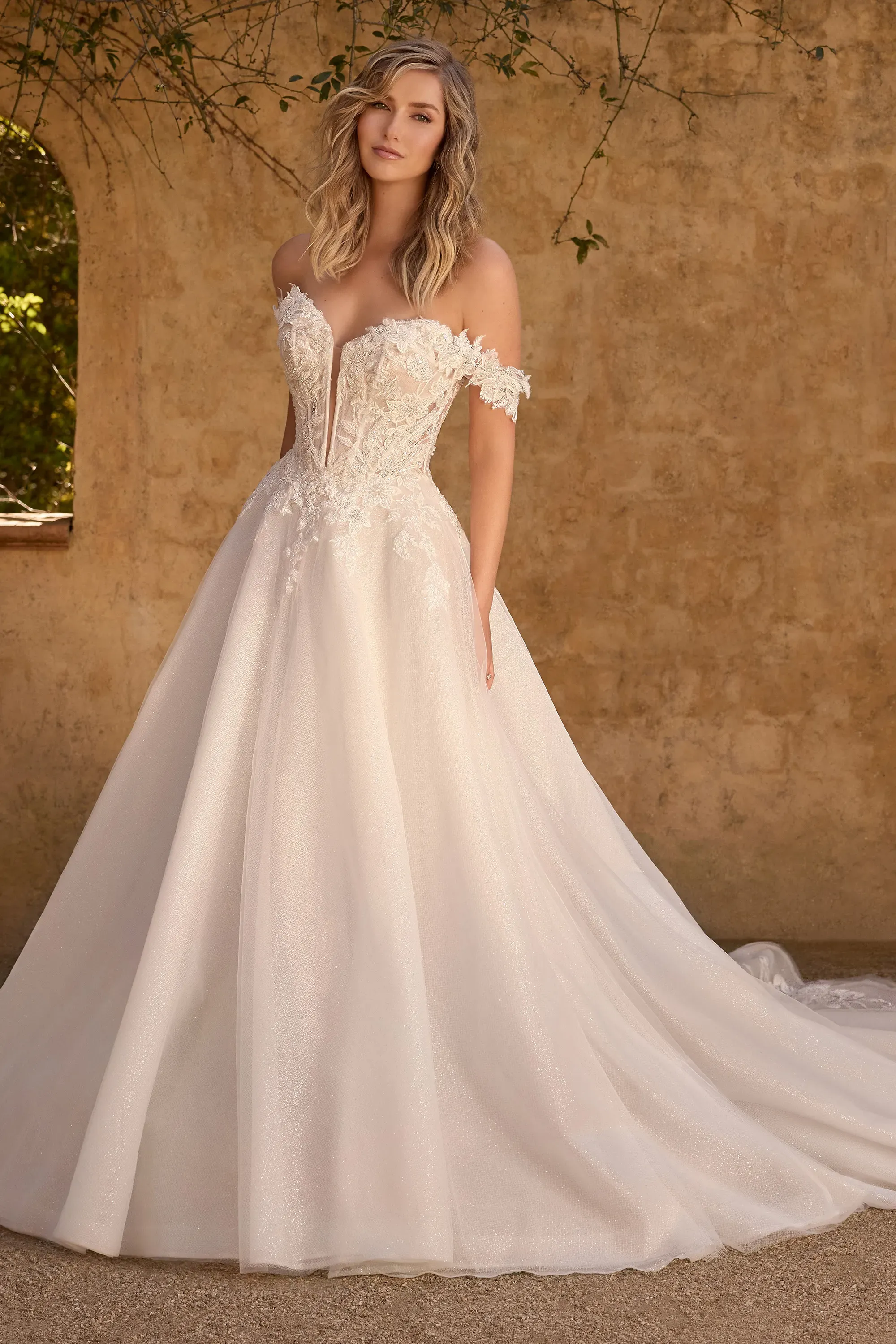 Sexy V-Neckline Ball Gown