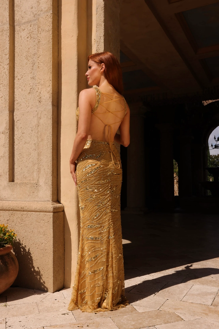 brown thomas evening dresses Tulama Maxi Dress
