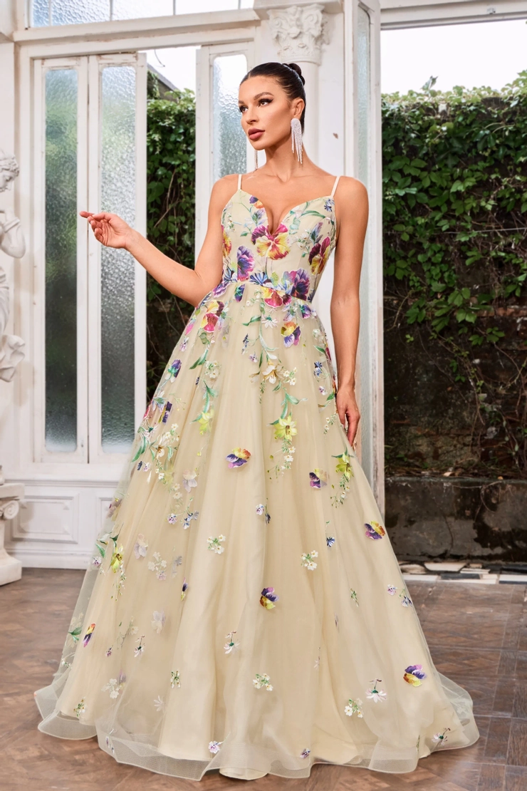 Jadore Evening J24046 Default Thumbnail Image