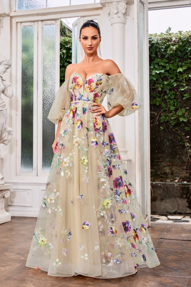 Jadore Evening Style #J24047 Default Thumbnail Image