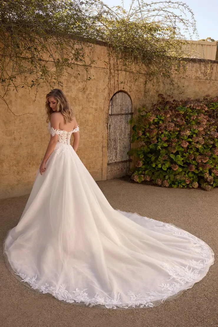 Sophia Tolli Backface Thumbnail Image