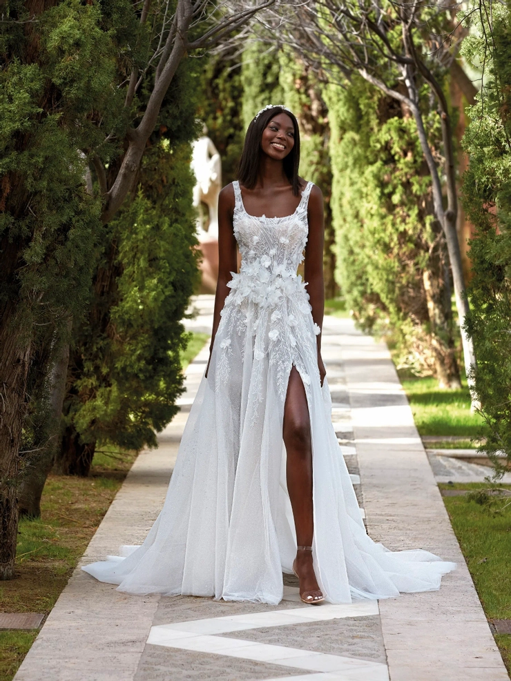 Demetrios 1177