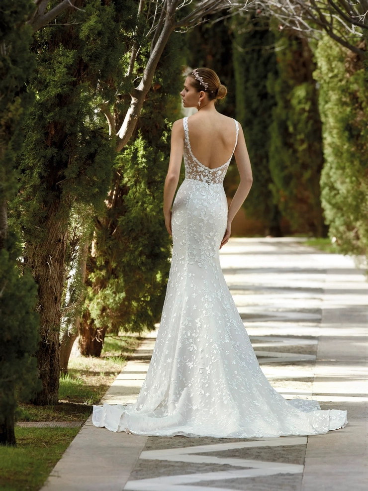 Demetrios 1180