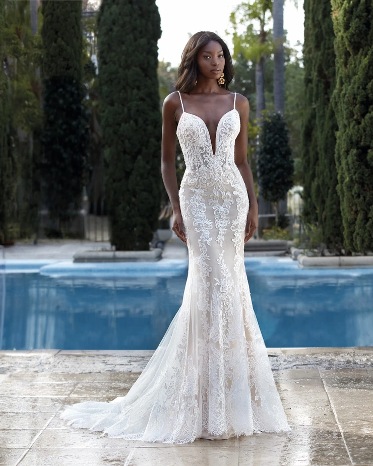 Demetrios 1182