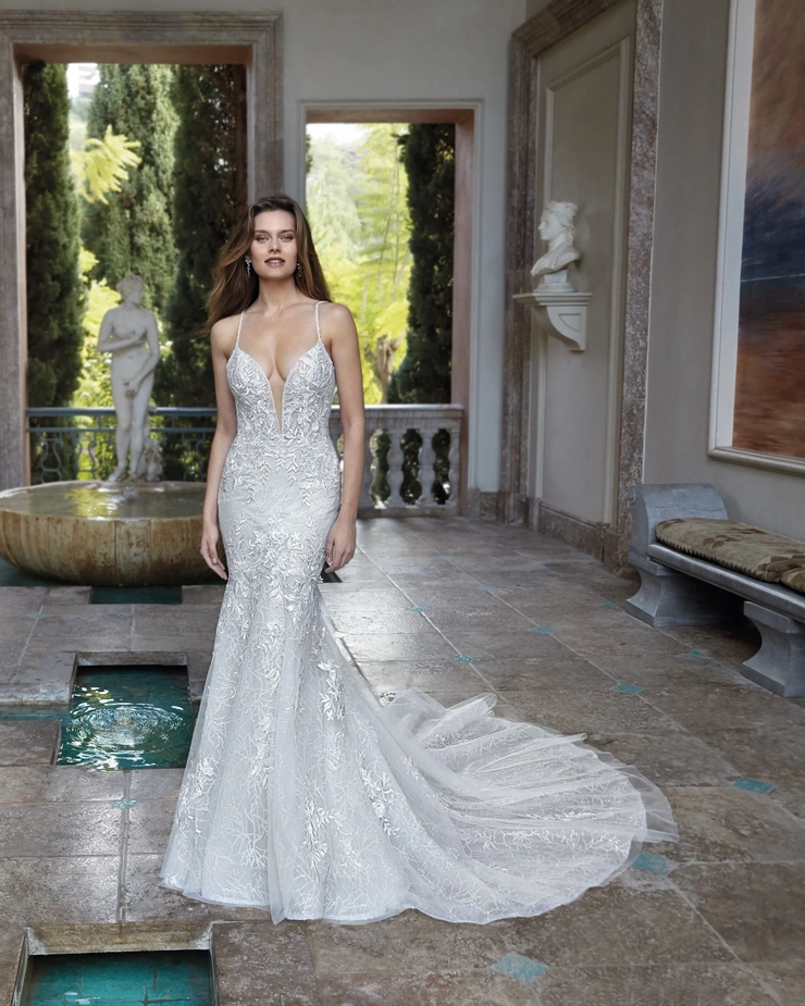 Demetrios 1183