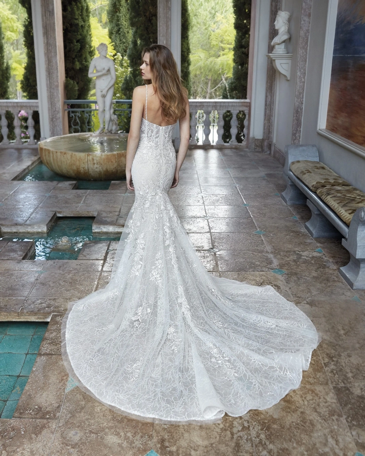 Demetrios 1183