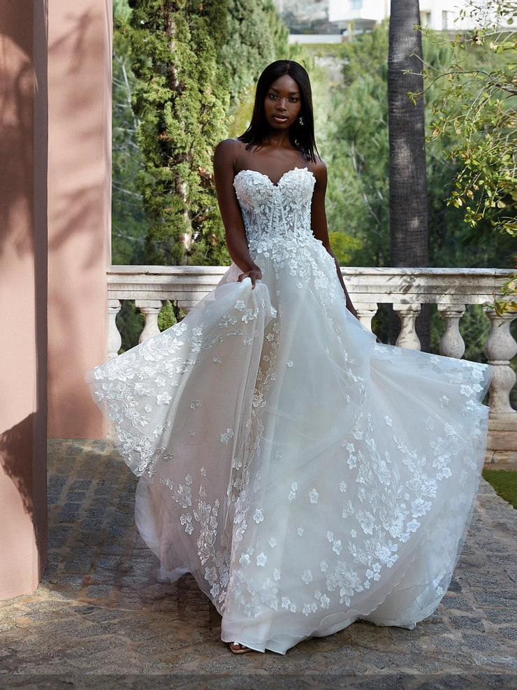 Demetrios 1184