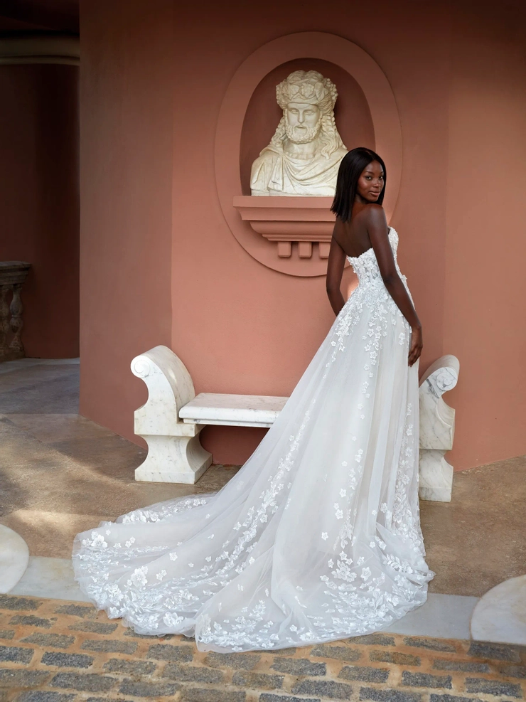 Demetrios 1184