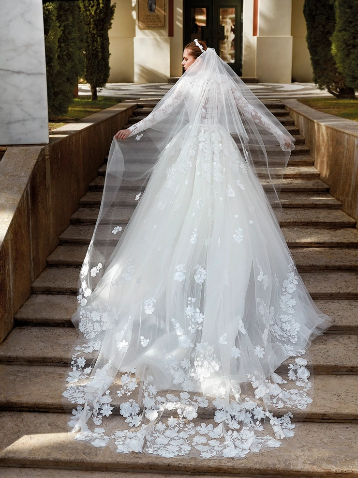 Demetrios 1185
