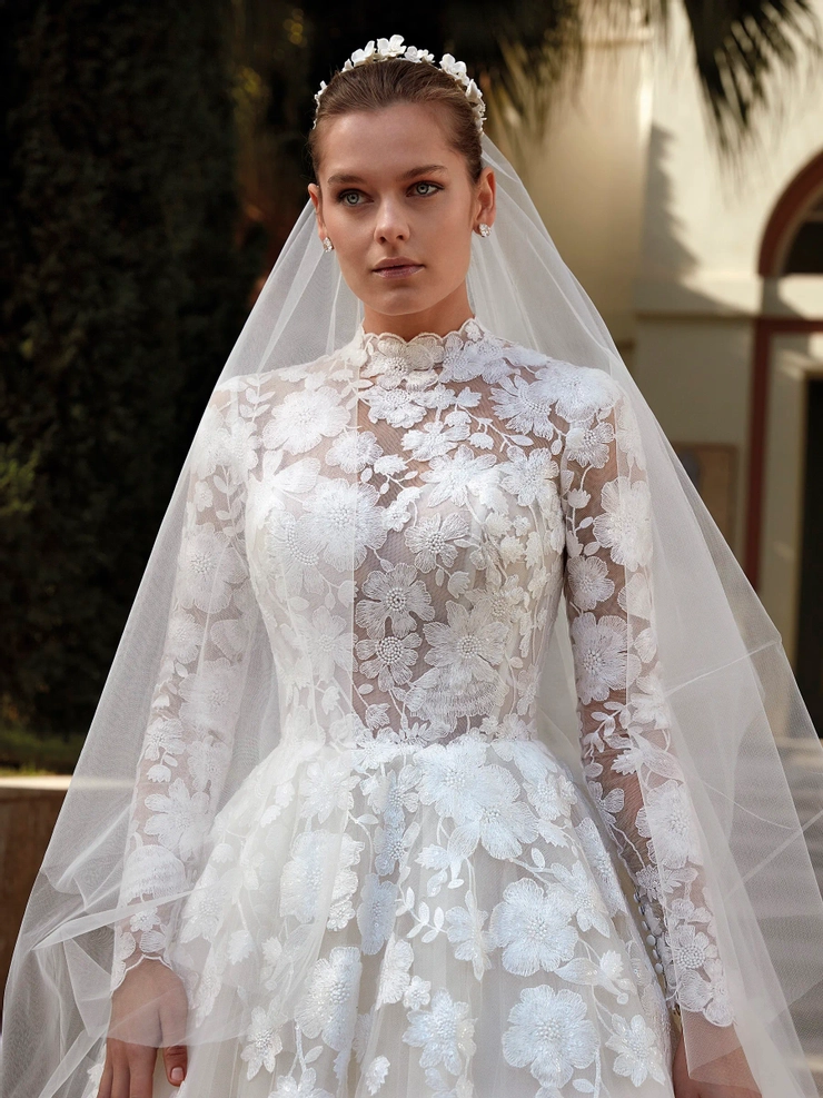 Demetrios 1185