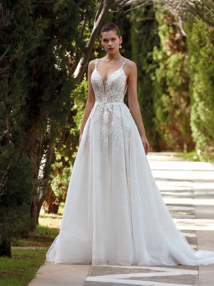 Demetrios 1187