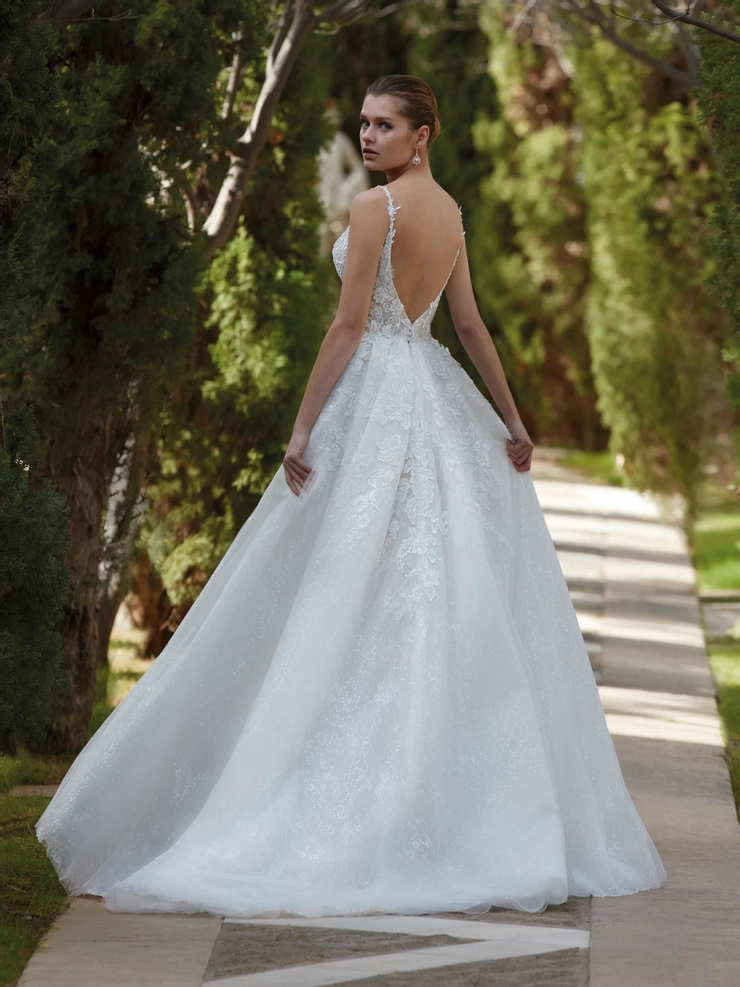 Demetrios 1187