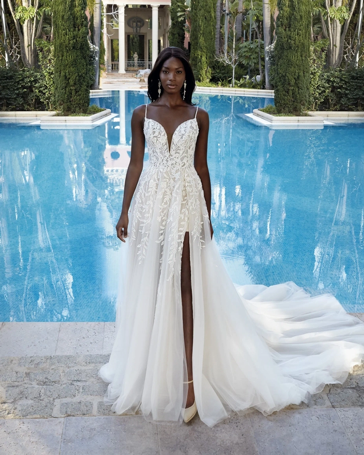 Demetrios 1191