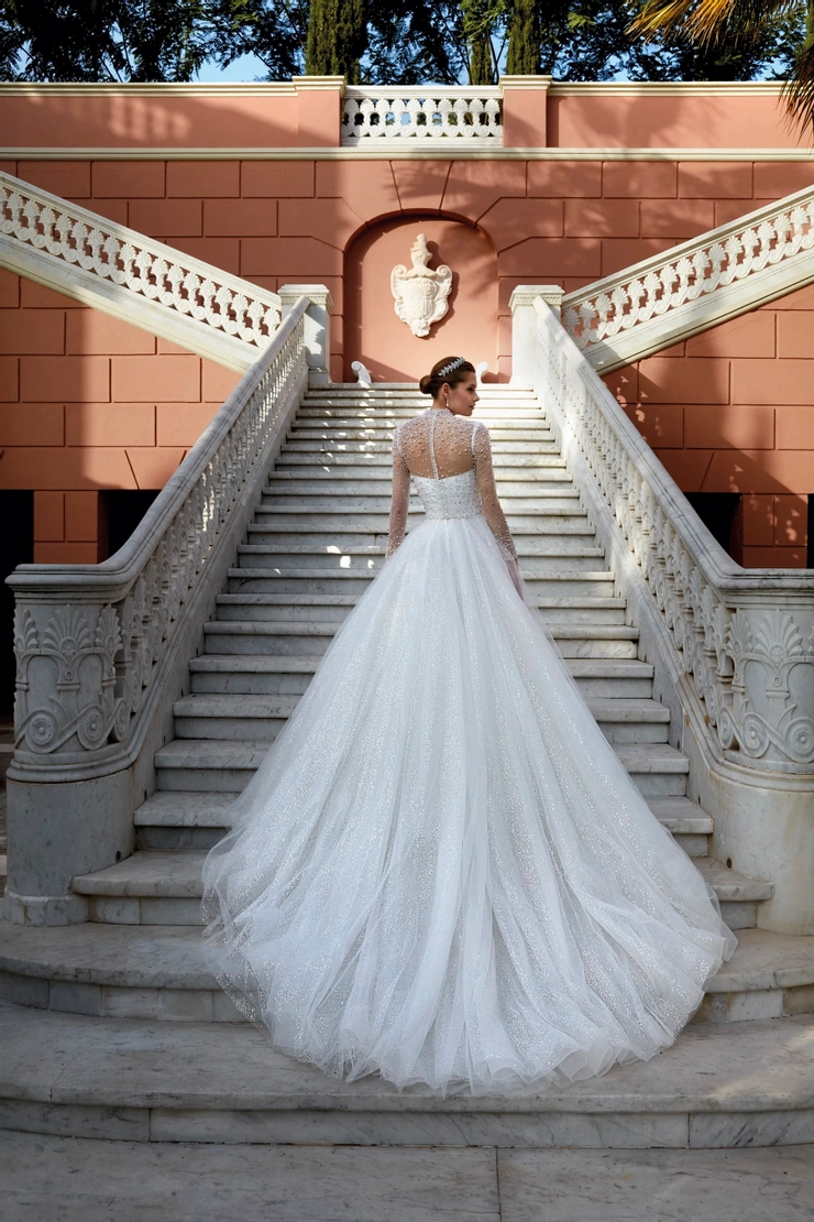 Demetrios 1194