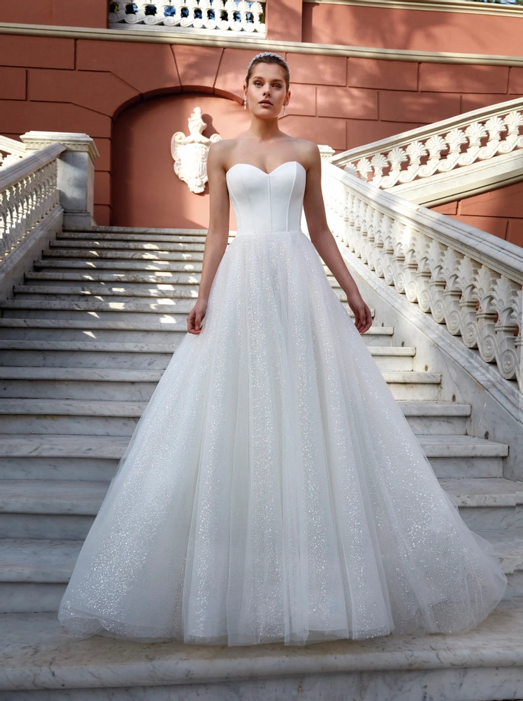 Demetrios 1194