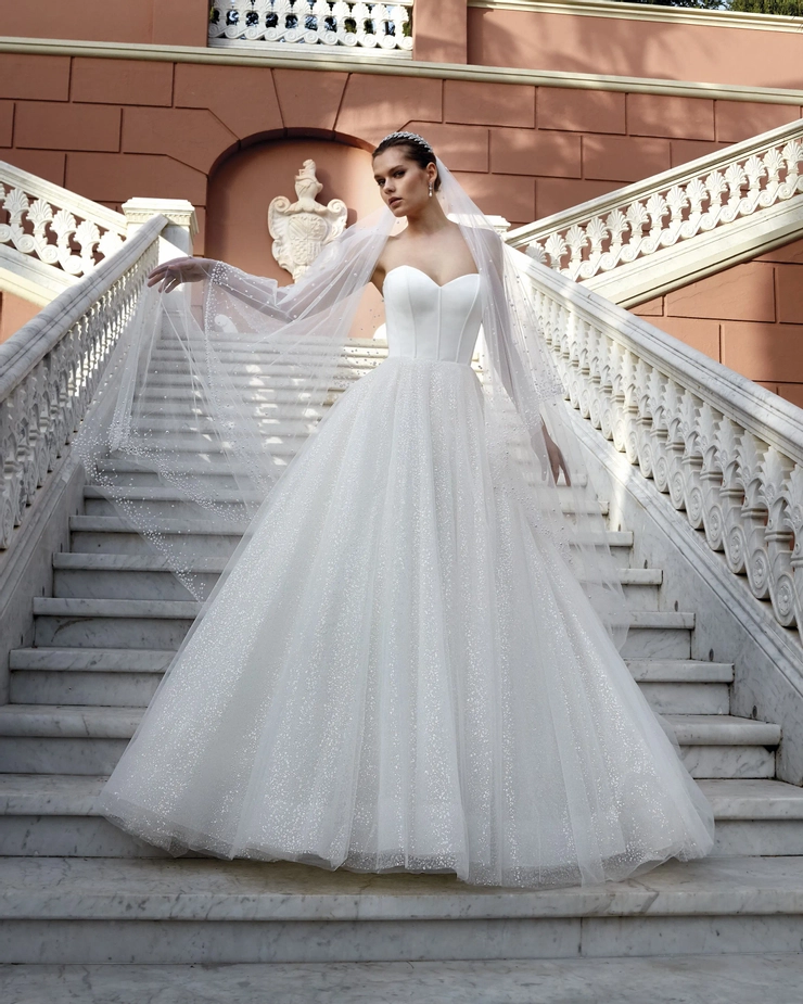 Demetrios 1194
