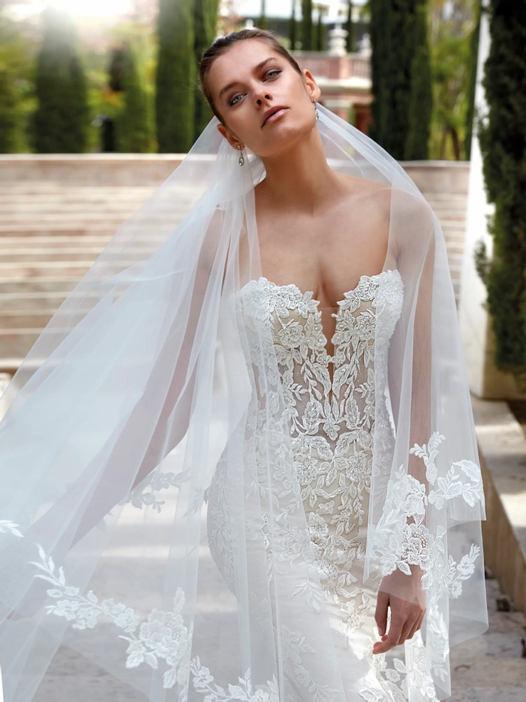 Demetrios 1195