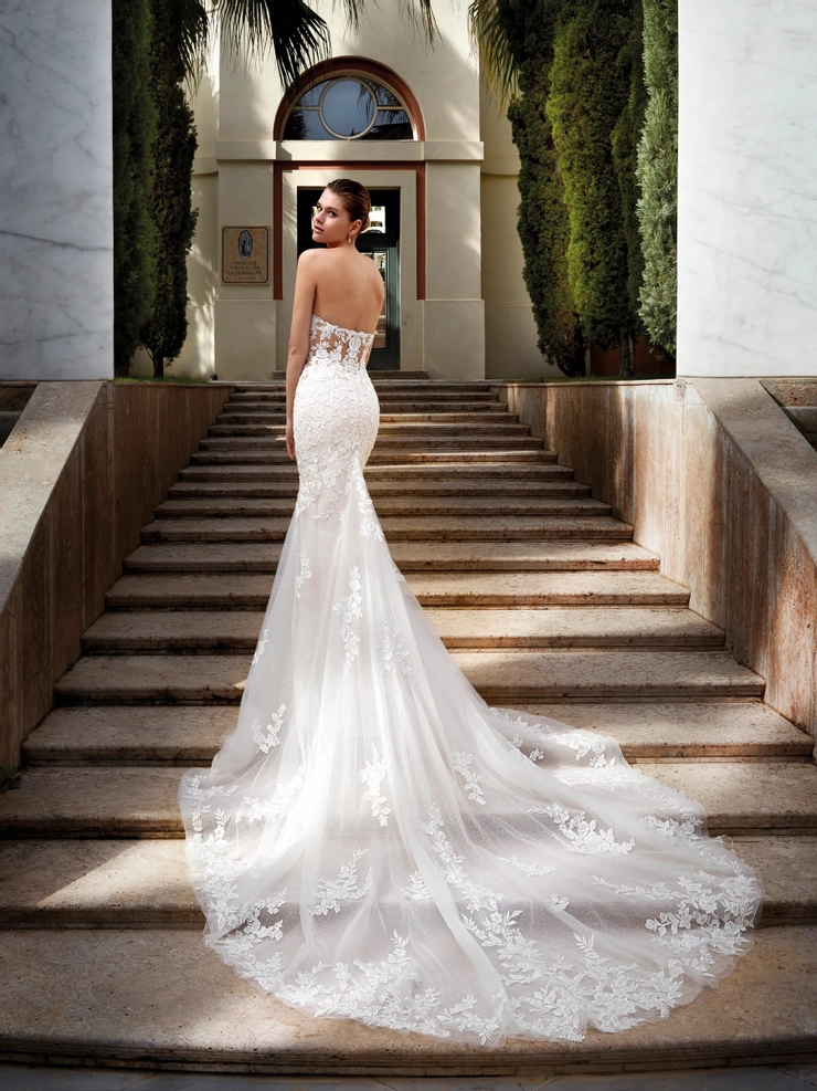 Demetrios 1195