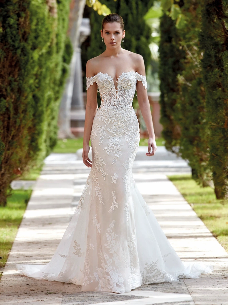 Demetrios 1195