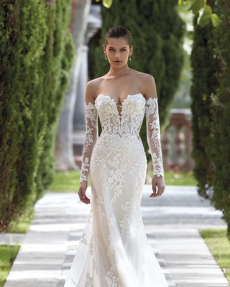 Demetrios 1195