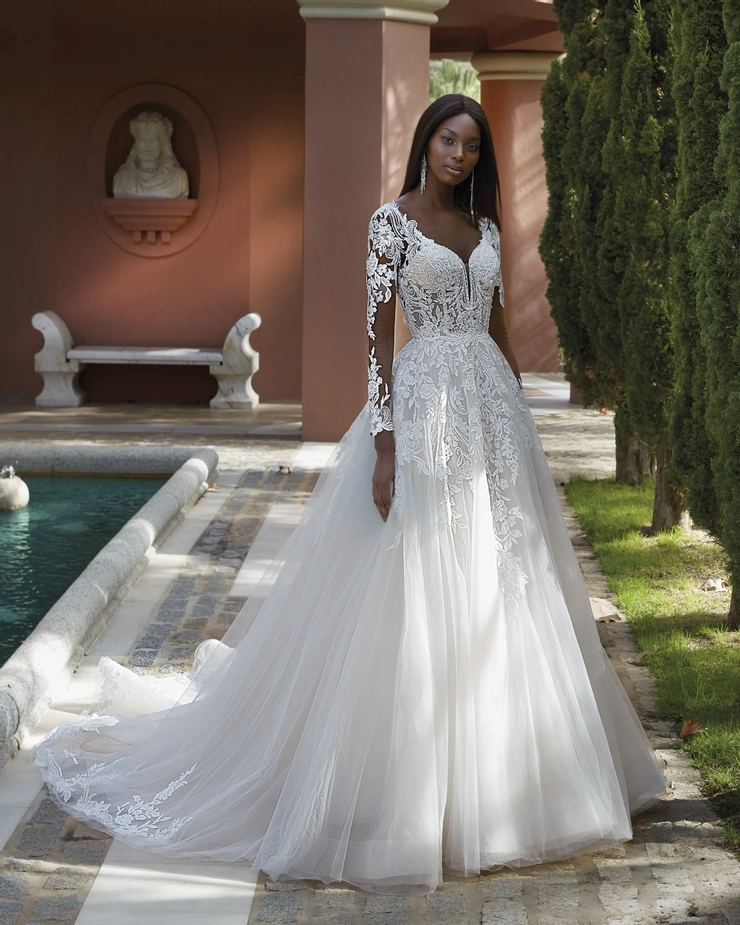 Demetrios 1197