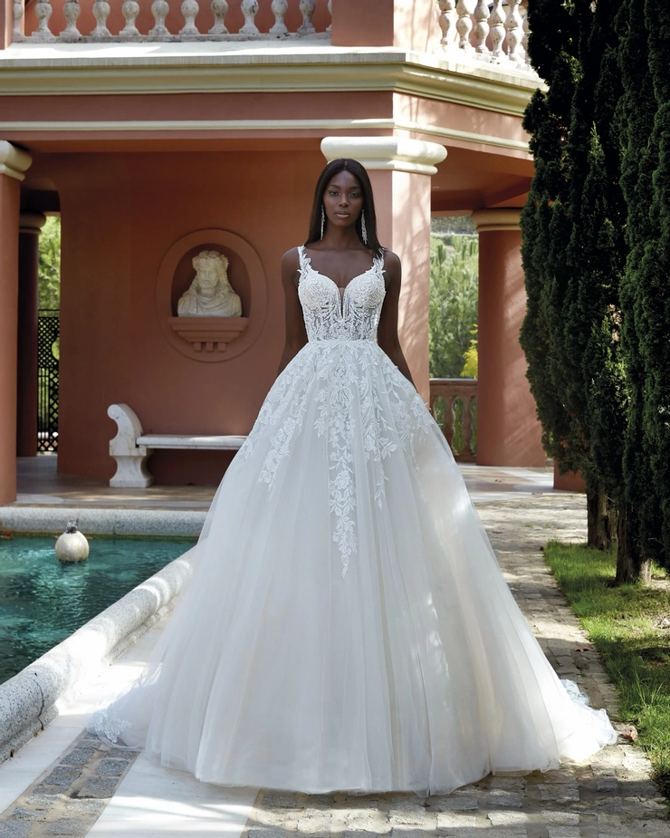 Demetrios 1197
