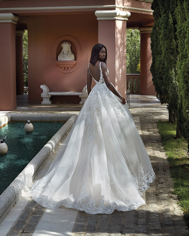 Demetrios 1197