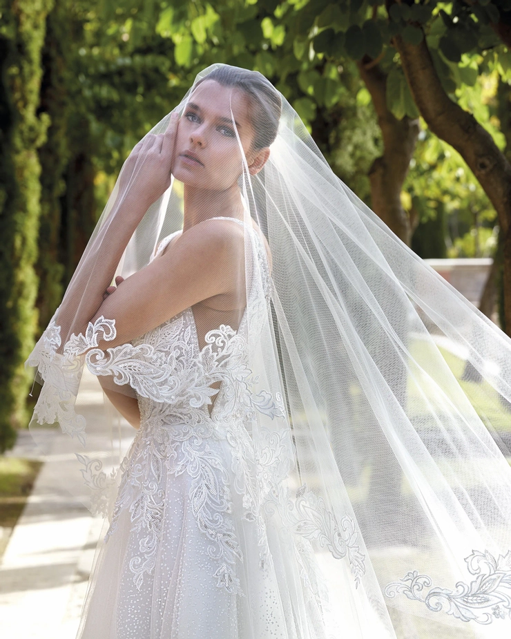 Demetrios 1201