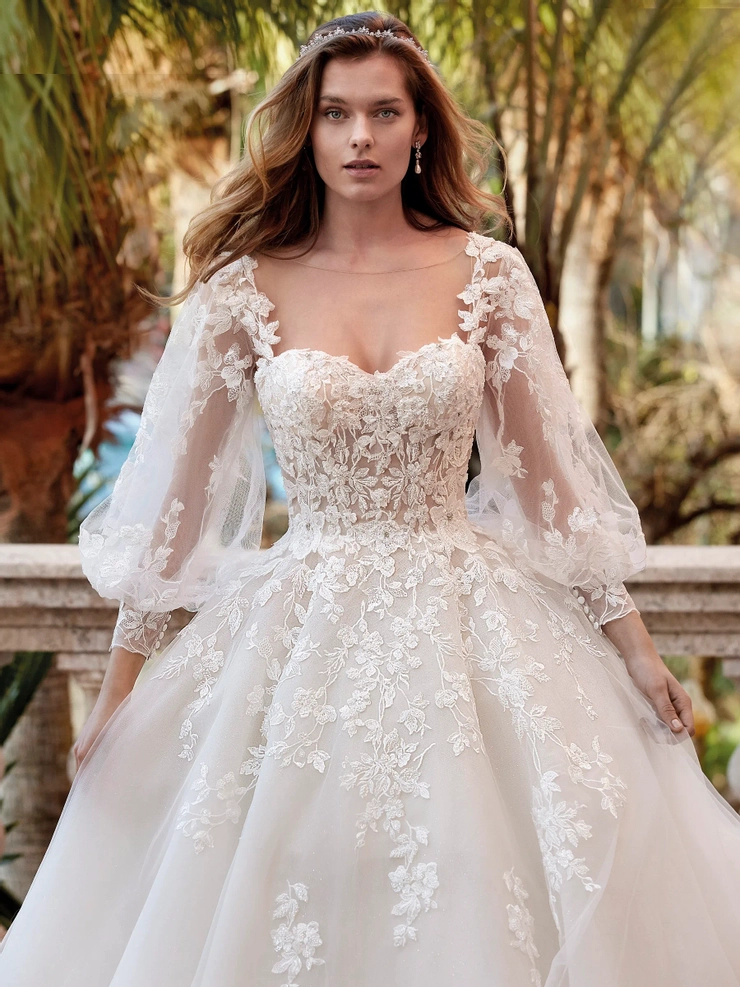 Demetrios 1202