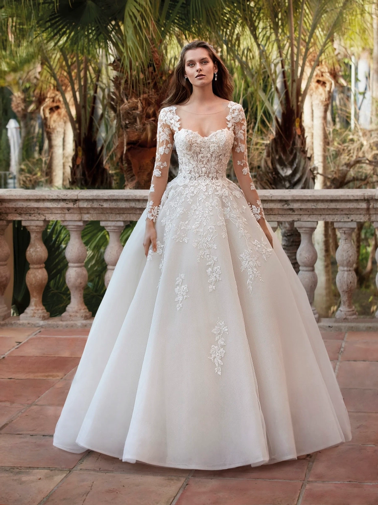 Demetrios 1202