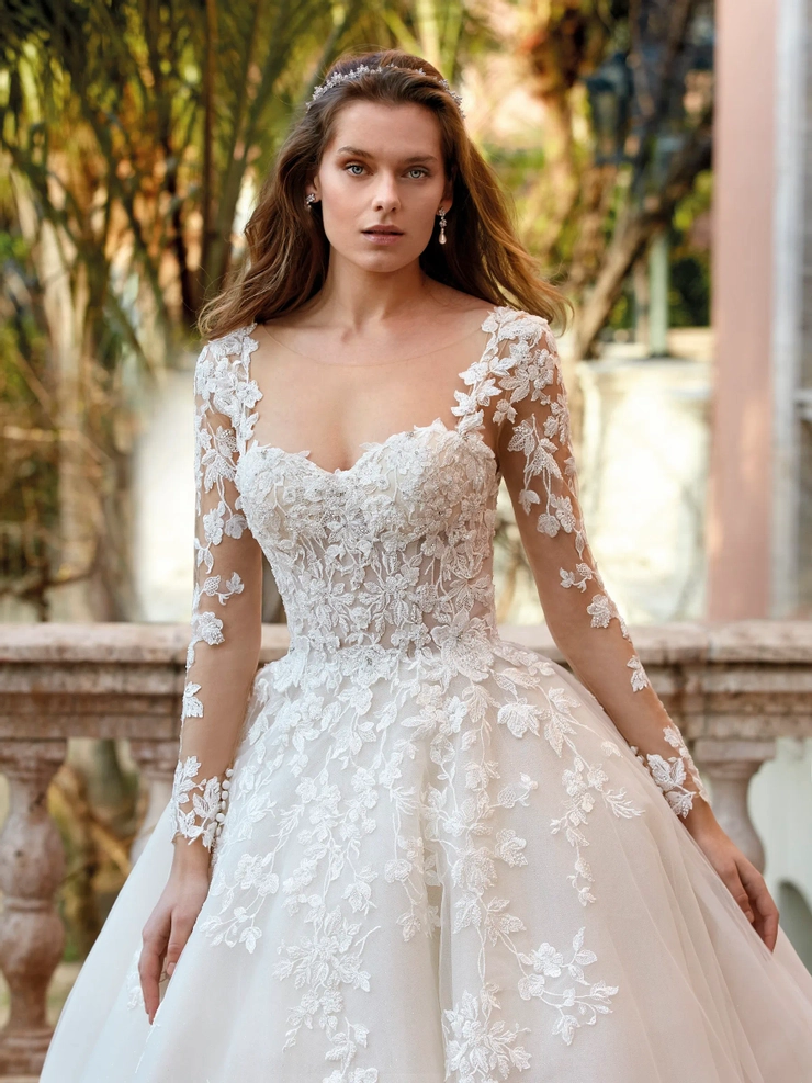 Demetrios 1202