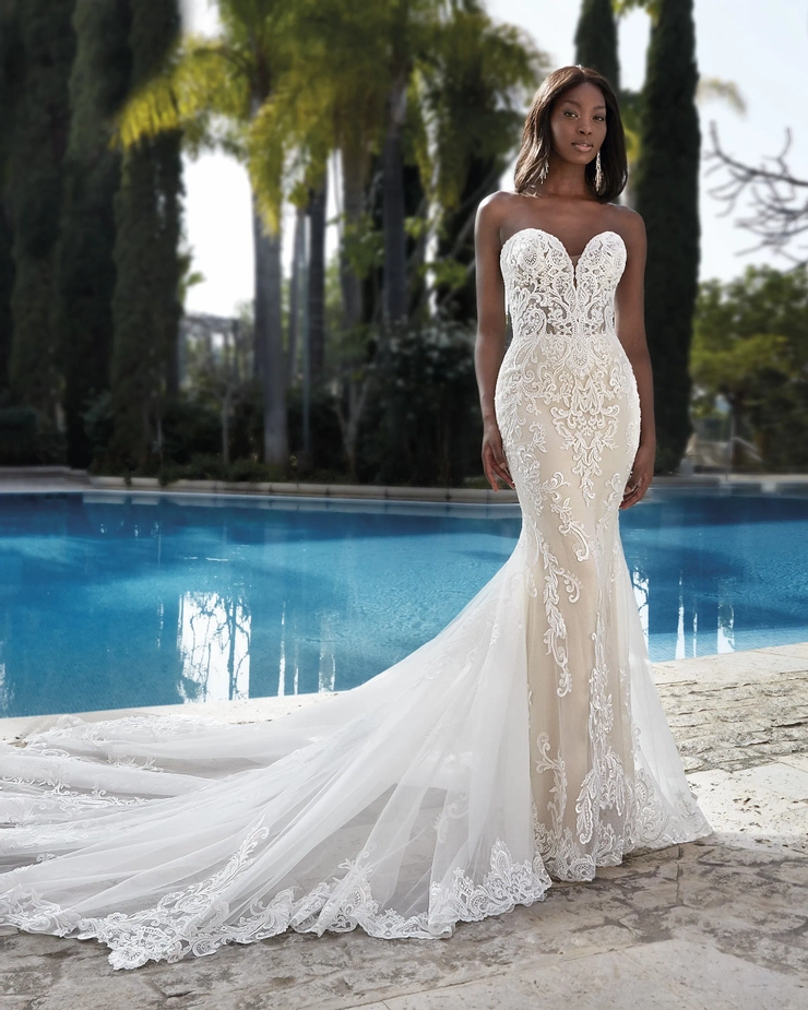 Demetrios 1203