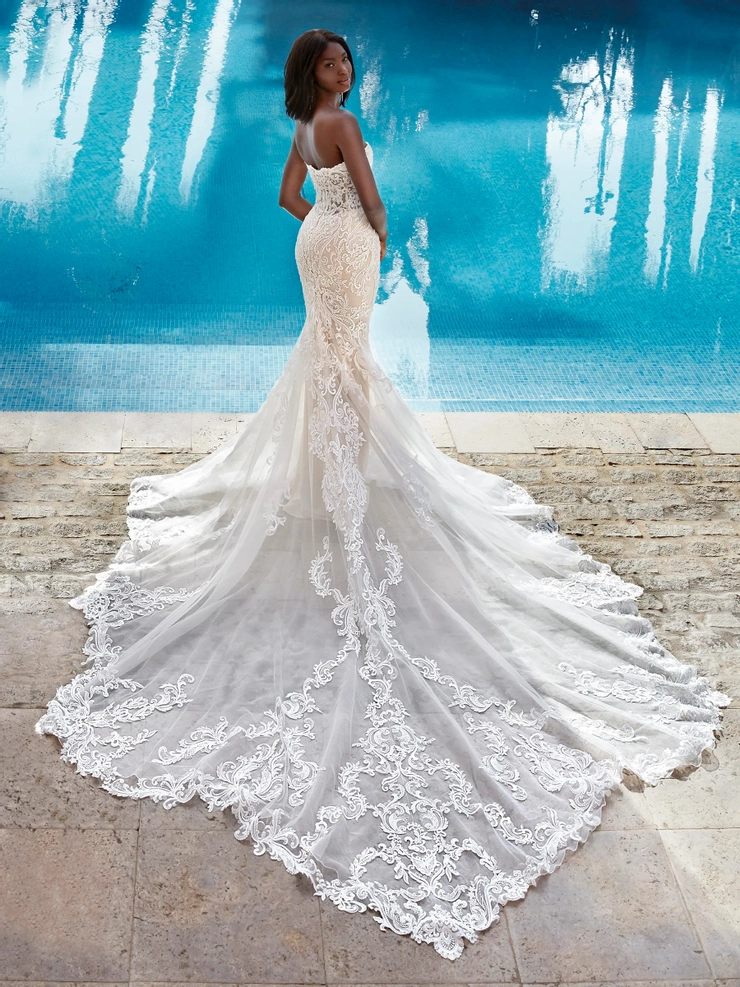 Demetrios 1203